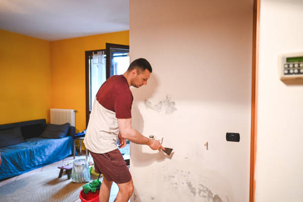 Trusted La Mesilla, NM Mold Removal Experts